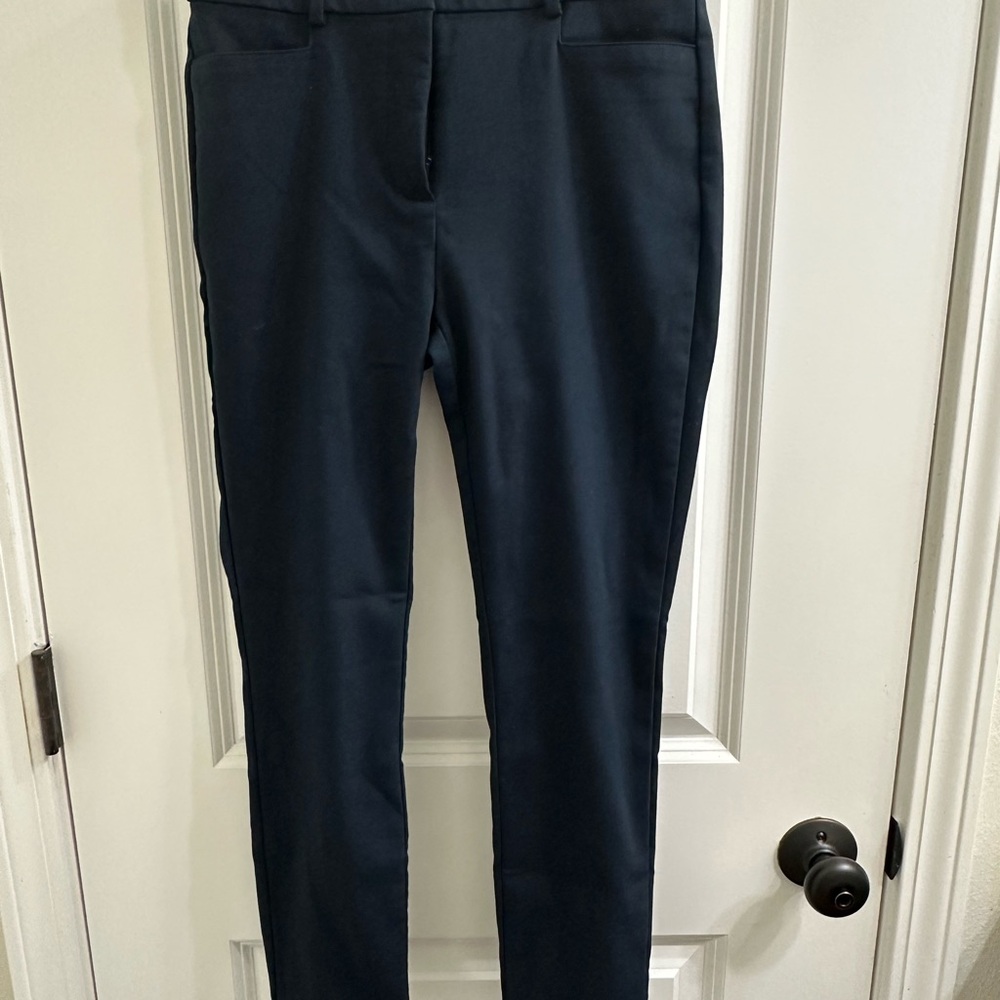 LOFT Dark Blue Pants
